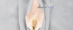 monalisa touch